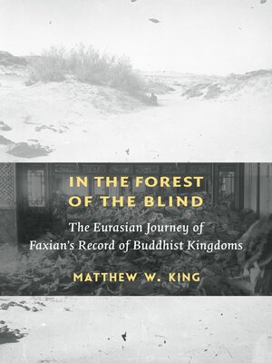 cover image of In the Forest of the Blind